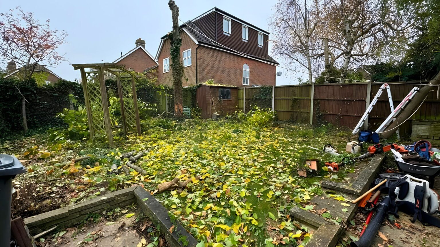 The Luton garden before transformation, looking toward the house