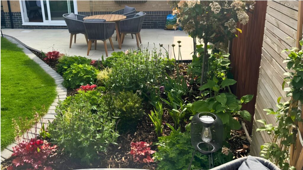 Mature planting and curved lawn in the completed garden